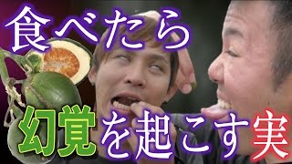 何も教えずに幻覚を起こす実を食べさせてみた【スペースデリバリー】