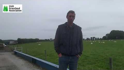 6 IGA Sheep Event 2020 Ned Morrissey Intro