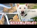 新人さんだけじゃない?!〜かわいい子達おしえちゃいます〜