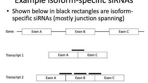 MCB 182 Lecture 4.2 - Reverse genetics (siRNA, antisense oligos)