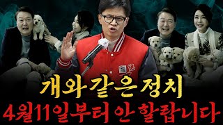 [남천동生라이브!] 개와 같은 정치! 4월 11일부터 하지마시고 유학 가시면 됩니다!