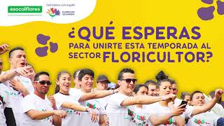 Colombia | Asocolflores | Empleos en el sector de Flores |