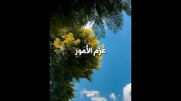 صوت جميل❤️‍🩹🎧 | القارئ : إسلام صبحي   Sheikh Islam Sobhi ||   viral quran || quran tilawat