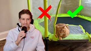 Was Buying My Cat a Trampoline Worth It? by Abram Engle 23,211 views 3 months ago 10 minutes, 17 seconds