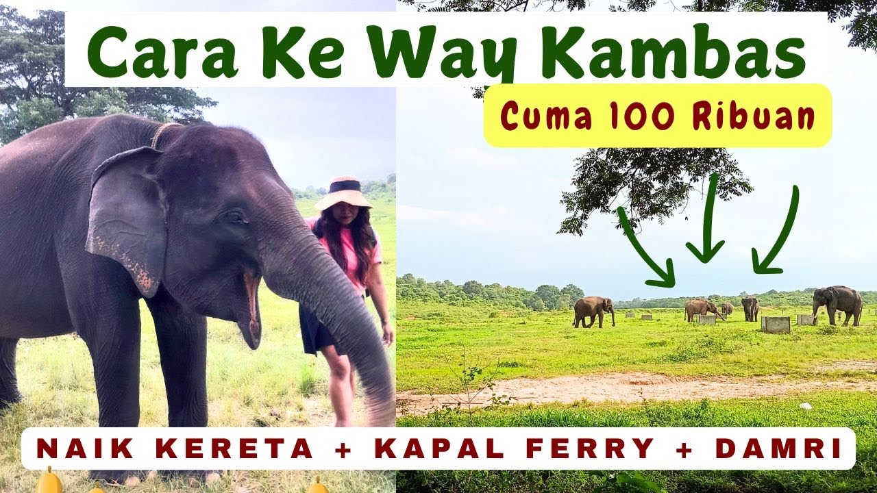 Part 1 - Cara Ke Taman Nasional Way Kambas Menggunakan Transportasi Umum