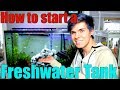 How to Start a Freshwater Aquarium | Everything You Need to Know