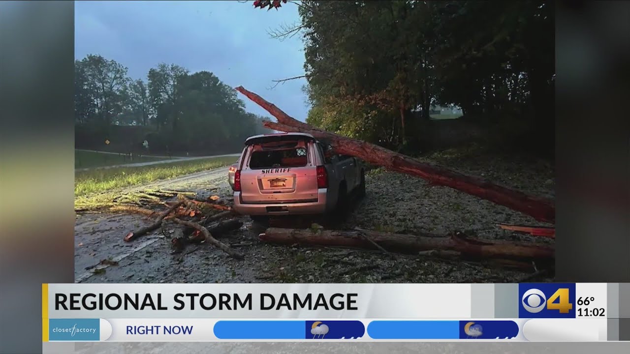 Fallen tree crashes into Putnam County deputy’s vehicle - YouTube