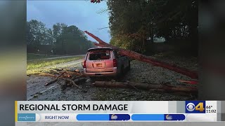 Fallen tree crashes into Putnam County deputy’s vehicle