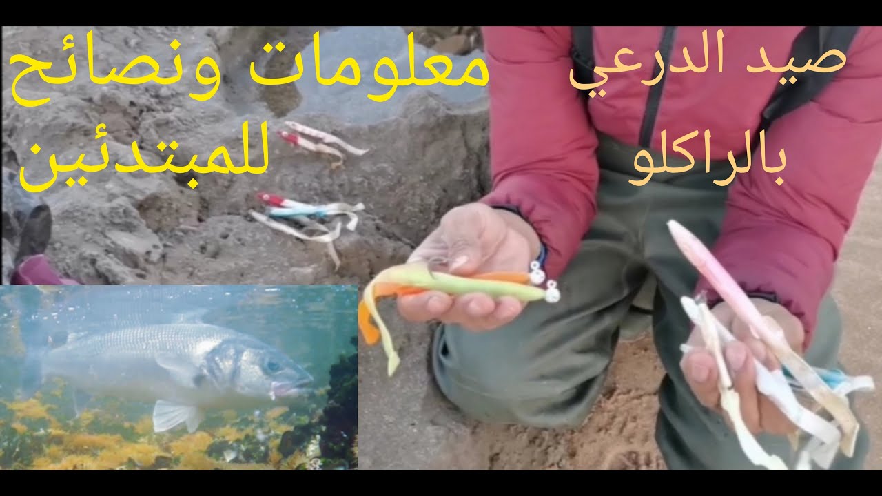 Pêche Au Maroc 2021:صيد سمك الدرعي/بوشوك/لحرش/القاروص بالطعم الصناعي راكلو حصيلة وممارسة الصيد بأمان