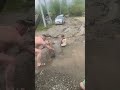 UTOPIST | Рабы негодуют, но ничего не изменится