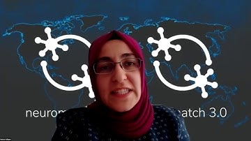 Talk: Hippocampal representations emerge when training recurrent neural networks on a memory depend…