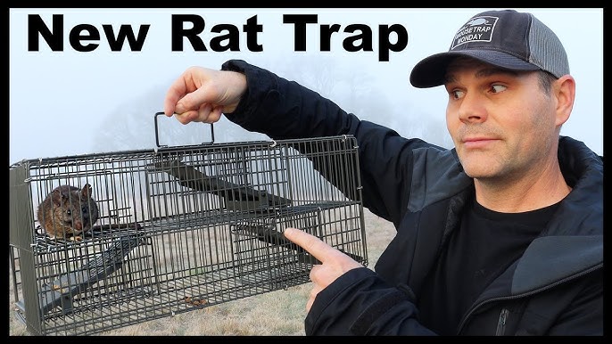 Uhlik Repeater Live Cat Traps Kansas