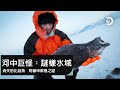 大比目魚跑哪去了？阿留申群島的魚群神秘現象-《河中巨怪：謎樣水域 阿留申群島之謎》12月14日，晚上9點播出