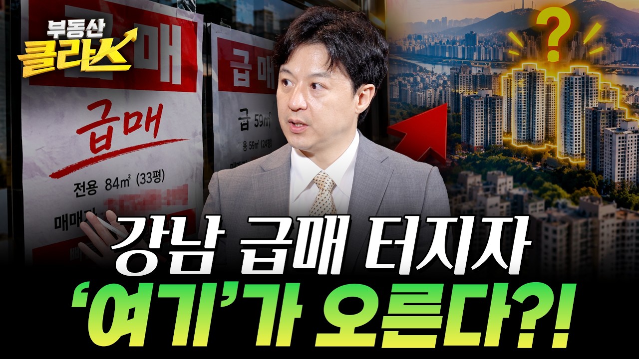 동영상 재생