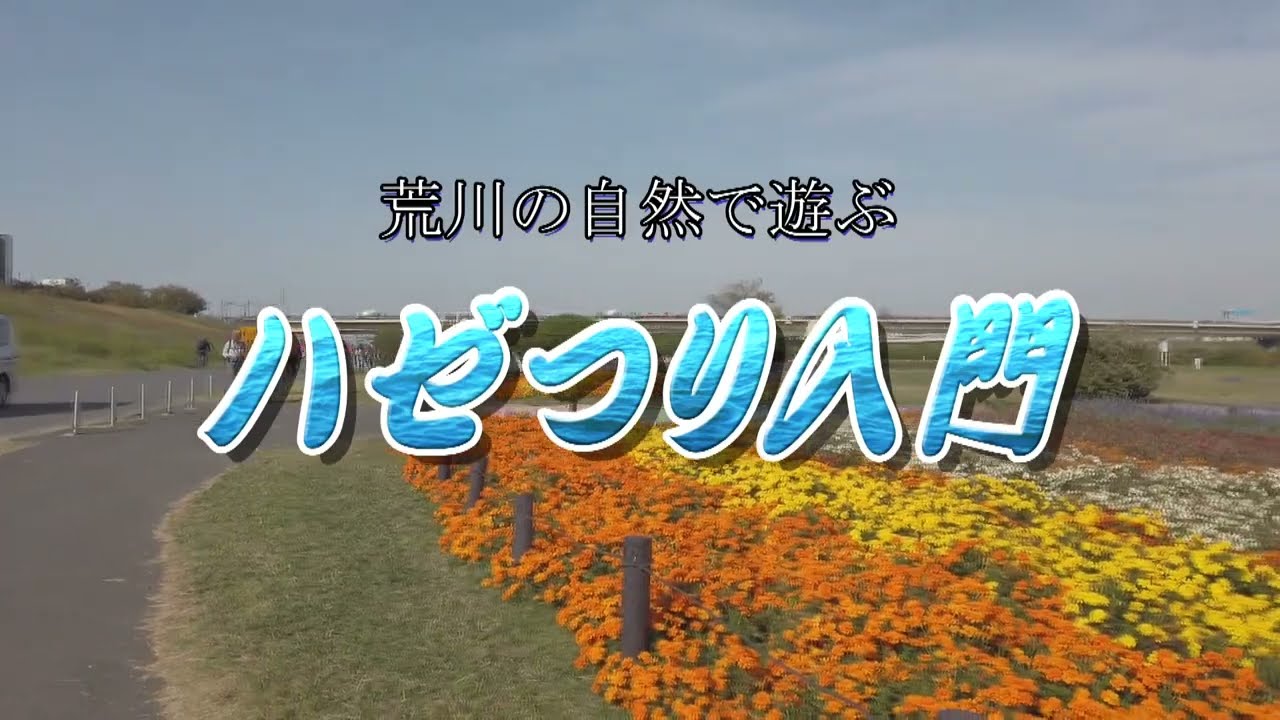 荒川のハゼ釣り入門