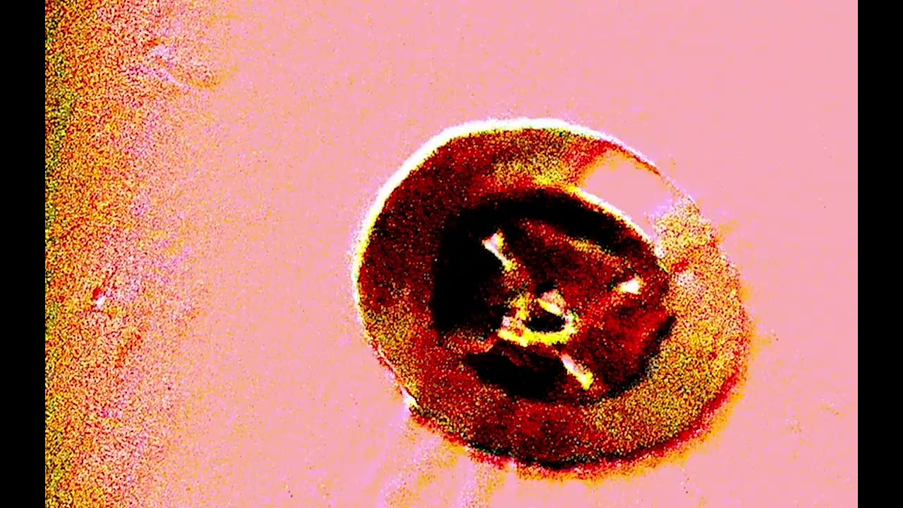 Guarda ossinah - f**k u/you + im misunderstood su YouTube Guarda ossinah - f**k u/you + im misunderstood su YouTube