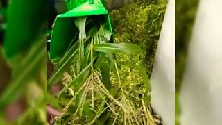 Super 2d Chaff Cutter Mini Silage Packing In Bihar Whatsapp Messages 91 562 2240765