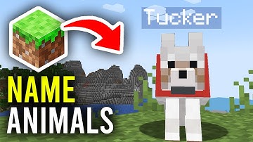 How To Name Animals In Minecraft - Full Guide