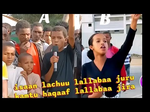 Marii Daandii Irraa Hordoftoota Amantii Pheenxee Waliin Magaalaa Colleetti Ustaaz Ibroo Jemal