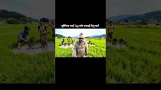 Tag the girl named #susmita #tag #trendingvideo #asar15 #asaar15 #asarfestival #nepal #funny