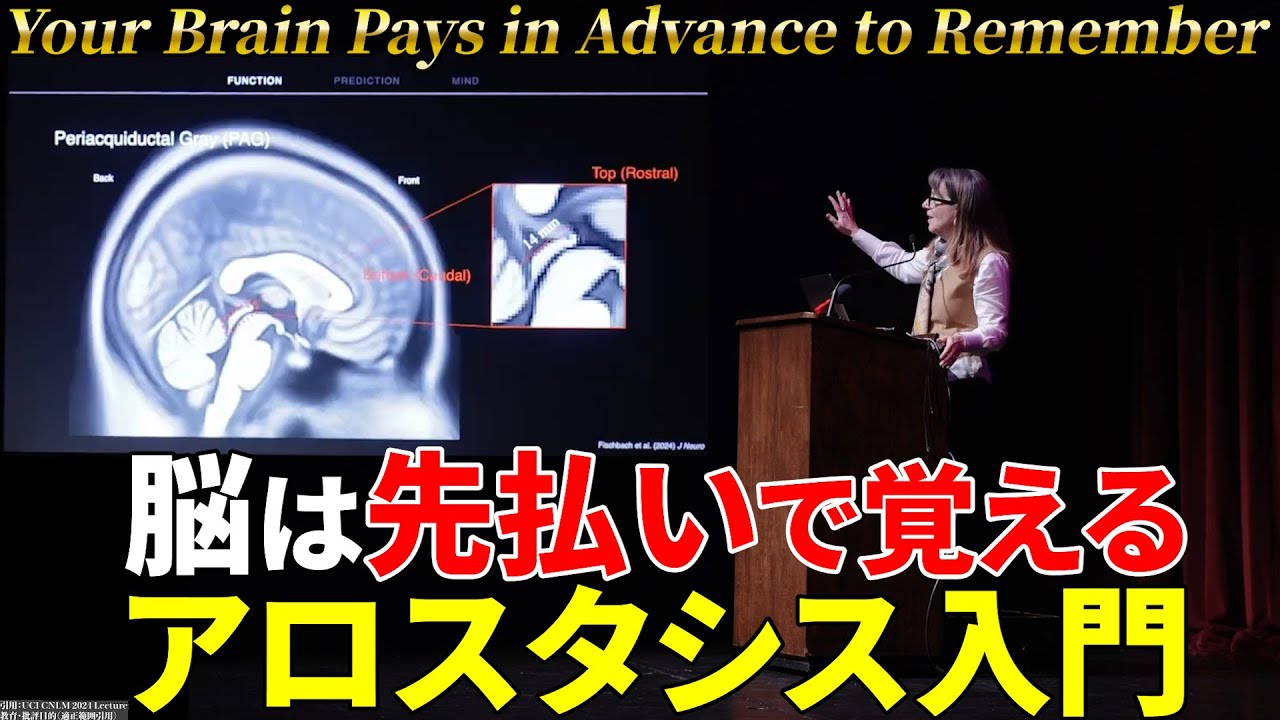 脳は先払いで覚える｜アロスタシス入門【引用解説／3つの脳ルール】