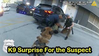 K9 Takes Down Murderer to End High Speed Police Chase