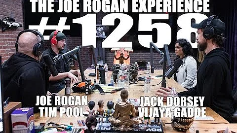 Joe Rogan Experience #1258 - Jack Dorsey, Vijaya G...