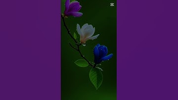 سورة الأنبياء الآية 💙 83💙84💙