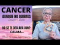 CANCER♋️NO QUIERES MAS AMOR? || EL AMOR LLEGARA |// NO SE DECLARA AUN || TEN PACIENCIA Y VERAS