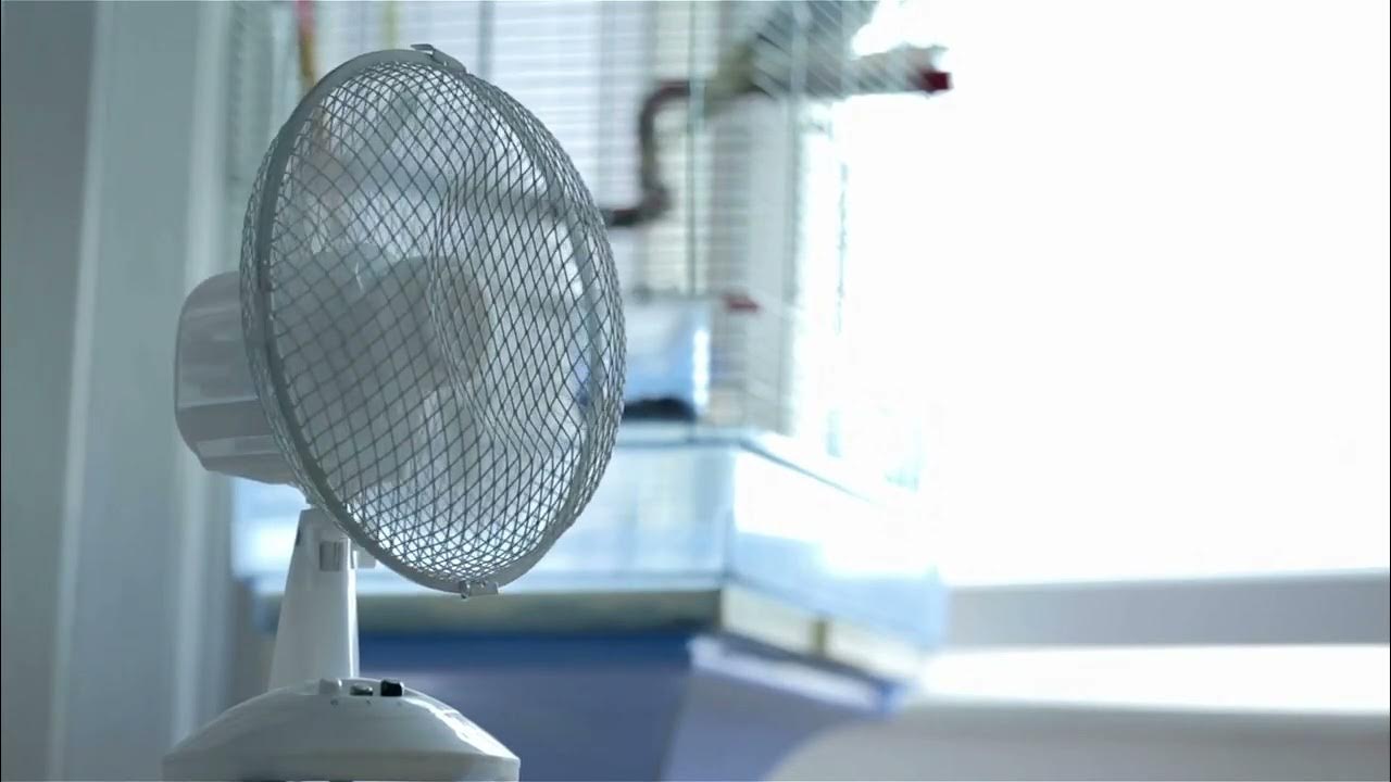 Box Fan Sleep Sounds White Noise I Fall Asleep & Stay Sleeping All