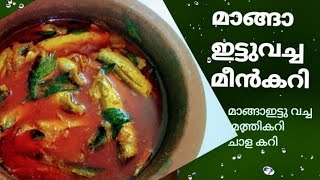 മാങ്ങാ ഇട്ട മീൻ കറി കേരള സ്റ്റൈൽ /Kerala fish curry with Raw mango