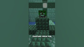 HOW To Get YOUR Own PLAYER HEADS In MINECRAFT!
