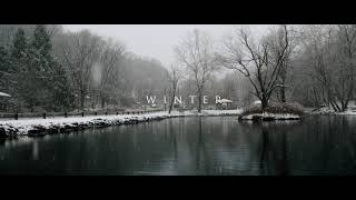 Snowfall in Hummelstown, PA 2021 Shot on-BMPCC6K