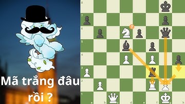 Mọi thứ đều rất ổn khi bạn chơi London System (cảm ơn các bạn vì 240 sub UwU)