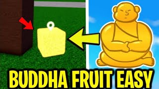 Can I get Buddha fruit in one day😨😨