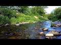 SOOTHING WATER SOUND, NİGHTİNGALE BİRD SOUND Relaxing Stream River Sound, Nature Sounds, Sleep Music