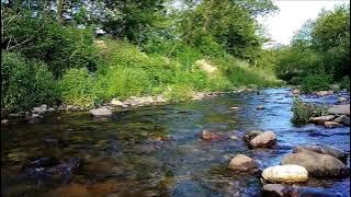 SOOTHING WATER SOUND, NİGHTİNGALE BİRD SOUND Relaxing Stream River Sound, Nature Sounds, Sleep Music
