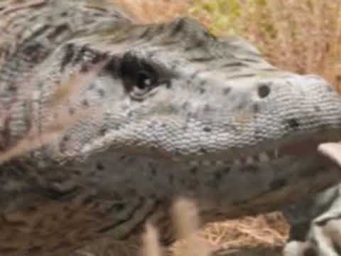 LAND OF LOST MONSTERS MEGALANIA