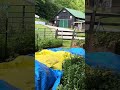 Garden watering hack 
