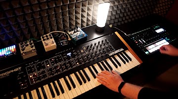 Prophet Rev2 with Roland MC 707 - Live Jam Improvisation