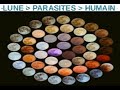 Capsule Recherche Rythme des Parasites Influence de la LUNE Cycle Menstruel et Humeur