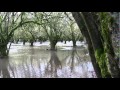 Part 3, Willamette Valley Dams: Your Role and Local Resources