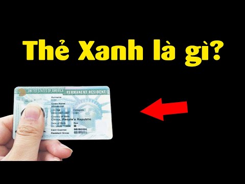 Video Tại sao người ta bỏ tớ 40 tỉ để mua thẻ xanh? - youtube