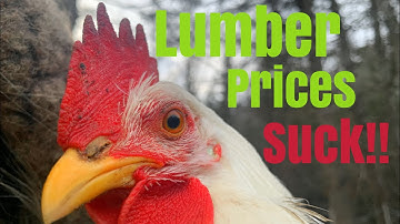 Build a chicken coop with pallets