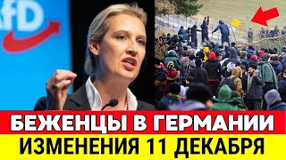 видео: 🔴 СРОЧНЫЕ НОВОСТИ ГЕРМАНИИ CЕГОДНЯ. АЛИС ВАЙДЕЛЬ ЗАЯВЛЕНИЕ О БЕЖЕНЦАХ. ЕС В ШОКЕ! ГЕРМАНИЯ СЕГОДНЯ. картинка: 🔴 СРОЧНЫЕ НОВОСТИ ГЕРМАНИИ CЕГОДНЯ. АЛИС ВАЙДЕЛЬ ЗАЯВЛЕНИЕ О БЕЖЕНЦАХ. ЕС В ШОКЕ! ГЕРМАНИЯ СЕГОДНЯ.