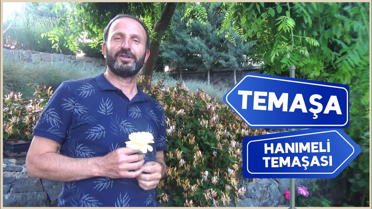 TEMAŞA | Hanımeli Temaşası