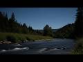 Night River ASMR for Deep Sleep 🌊 Pure Flow – No Birds, No Music