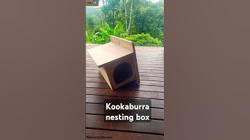 We are making 3 new nesting boxes. The first  one is Kookaburra. 🪹 📦