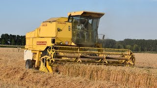 New Holland Clayson 8080 - Tarwe Dorsen
