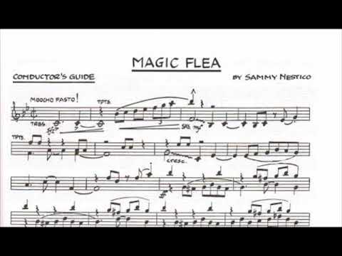 Magic Flea